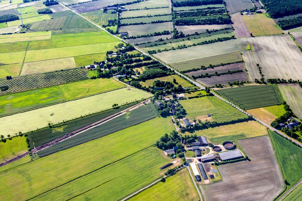 Vertical aerial photograph Ellhöft - Vertical aerial view from the satellite perspective of the agricultural land and field boundaries with the power plants surround the settlement area of the village on street Schulstrasse in Ellhoeft in the state Schleswig-Holstein, Germany
