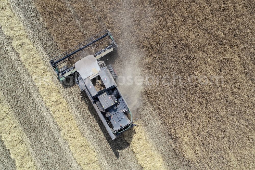 Vertical aerial photograph Mallnow - Vertical aerial view from the satellite perspective of the harvest use of heavy agricultural machinery - combine harvesters and harvesting vehicles on agricultural fields in Mallnow in the state Brandenburg, Germany