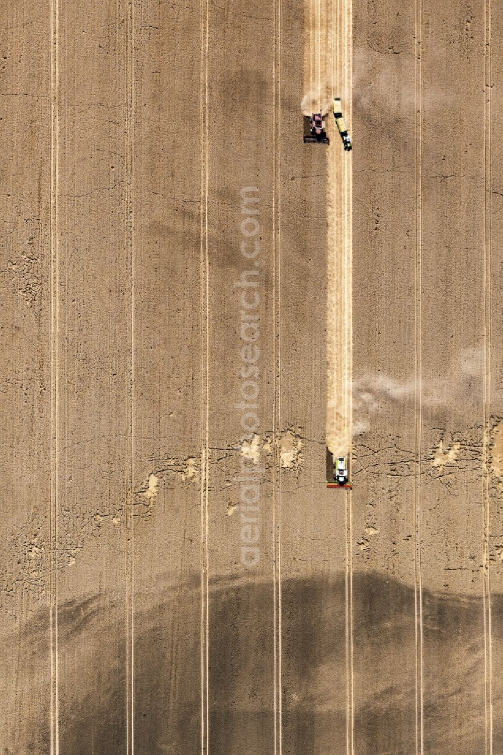 Vertical aerial photograph Bad Düben - Vertical aerial view from the satellite perspective of the harvest use of heavy agricultural machinery - combine harvesters and harvesting vehicles on agricultural fields in Bad Dueben in the state Saxony, Germany