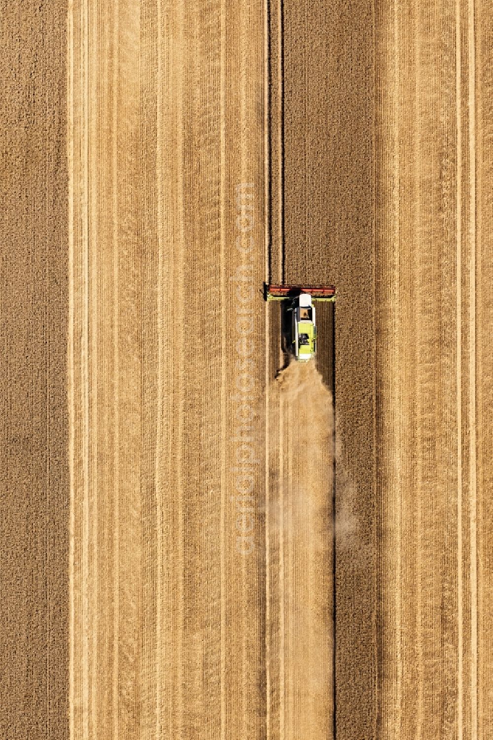 Vertical aerial photograph Bad Düben - Vertical aerial view from the satellite perspective of the harvest use of heavy agricultural machinery - combine harvesters and harvesting vehicles on agricultural fields in Bad Dueben in the state Saxony, Germany