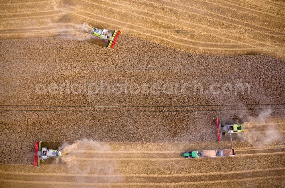 Vertical aerial photograph Lützow - Vertical aerial view from the satellite perspective of the harvest use of heavy agricultural machinery - combine harvesters and harvesting vehicles on agricultural fields for harvesting wheat in Luetzow in the state Mecklenburg - Western Pomerania, Germany