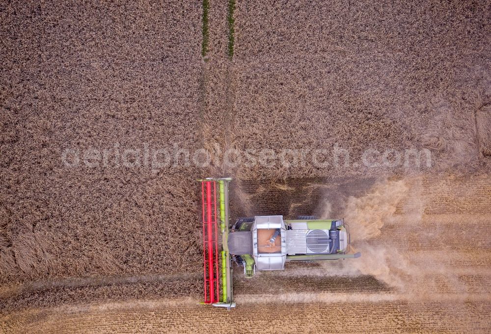 Vertical aerial photograph Lützow - Vertical aerial view from the satellite perspective of the harvest use of heavy agricultural machinery - combine harvesters and harvesting vehicles on agricultural fields for harvesting wheat in Luetzow in the state Mecklenburg - Western Pomerania, Germany