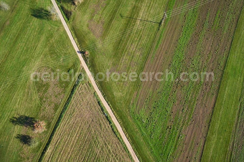 Vertical aerial photograph Engelsbrand - Vertical aerial view from the satellite perspective of the structures of a field landscape in Engelsbrand in the state Baden-Wuerttemberg, Germany