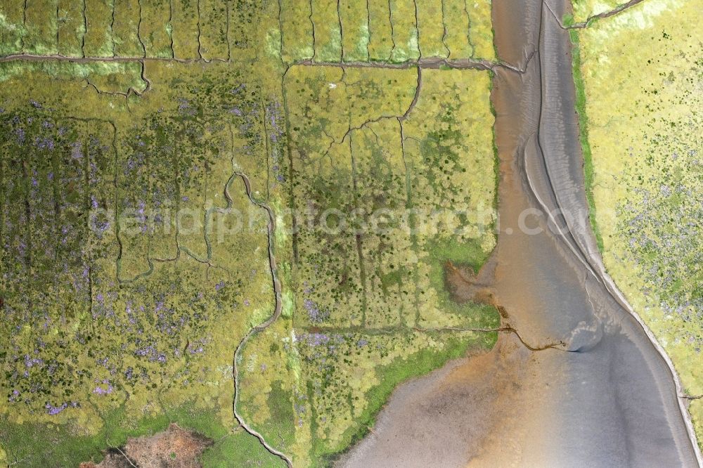 Vertical aerial photograph Westerhever - Vertical aerial view from the satellite perspective of the grass area structures of a salt marsh landscape of North Sea in Westerhever in the state Schleswig-Holstein, Germany