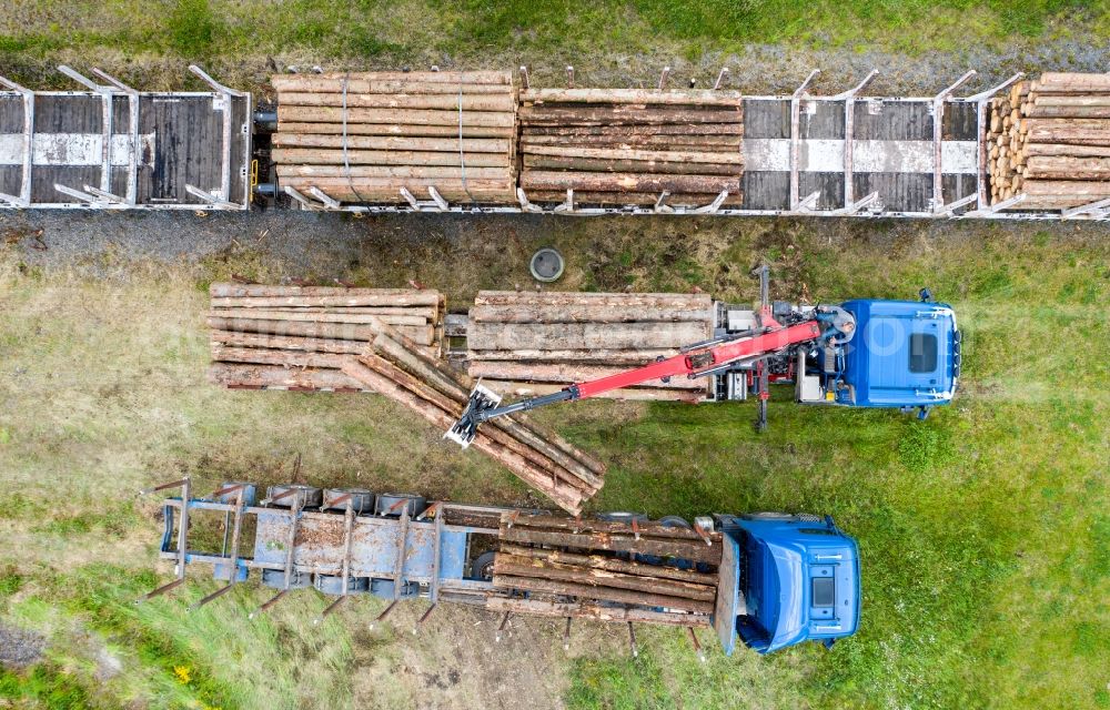 Vertical aerial photograph Pockau-Lengefeld - Vertical aerial view from the satellite perspective of the loading of wagons with tree trunks of a train in freight traffic on the track in Pockau-Lengefeld in the state Saxony, Germany