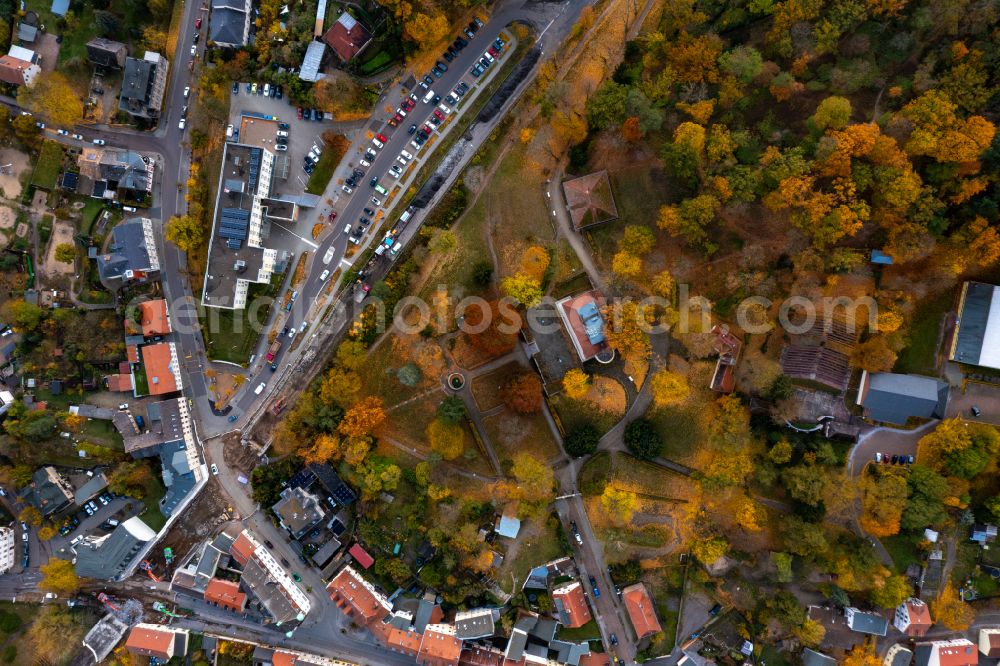 Vertical aerial photograph Bad Freienwalde (Oder) - Vertical aerial view from the satellite perspective of the autumnal discolored vegetation view building complex in the park of the castle in Bad Freienwalde (Oder) in the state Brandenburg, Germany