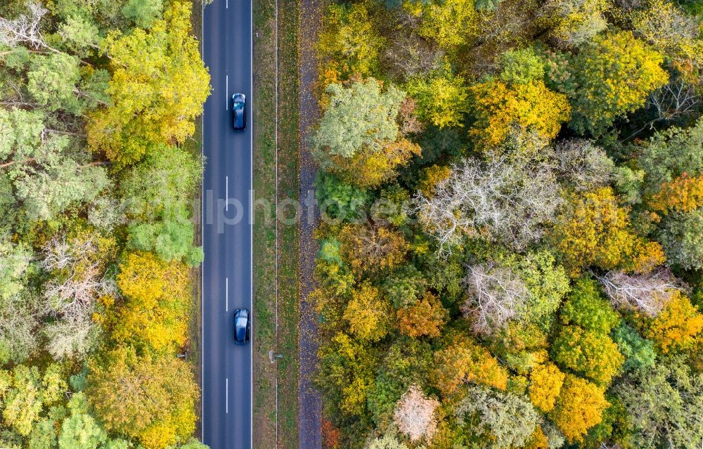 Vertical aerial photograph Nudow - Vertical aerial view from the satellite perspective of the country road in the course of the forest area in Nudow in the state Brandenburg, Germany