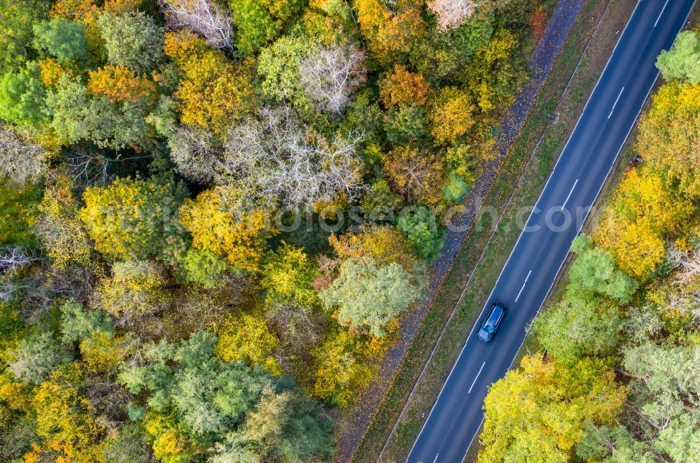 Vertical aerial photograph Nudow - Vertical aerial view from the satellite perspective of the country road in the course of the forest area in Nudow in the state Brandenburg, Germany