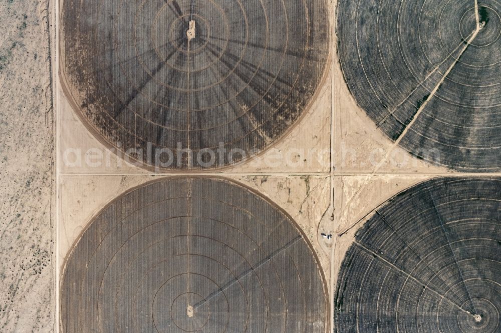 Vertical aerial photograph Kingman - Vertical aerial view from the satellite perspective of the circular round arch of a pivot irrigation system on agricultural fields in Kingman in Arizona, United States of America