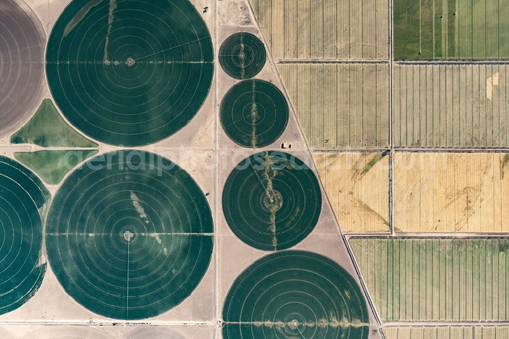 Vertical aerial photograph Mohave Valley - Vertical aerial view from the satellite perspective of the circular round arch of a pivot irrigation system on agricultural fields in Mohave Valley in Arizona, United States of America