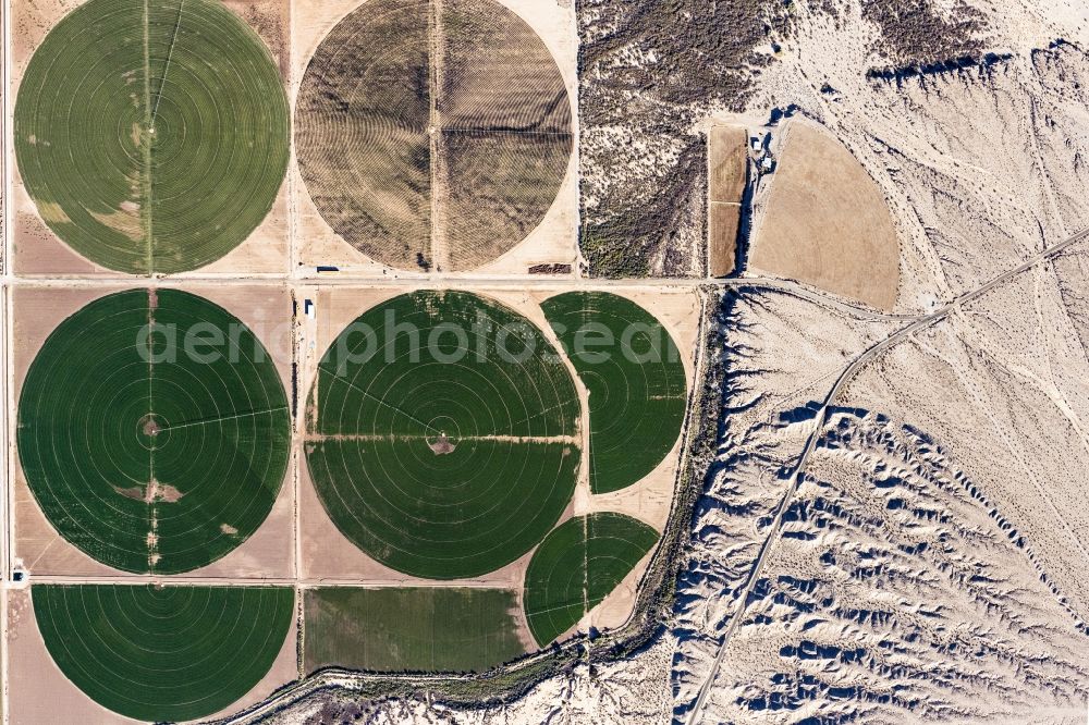 Vertical aerial photograph Mohave Valley - Vertical aerial view from the satellite perspective of the circular round arch of a pivot irrigation system on agricultural fields in Mohave Valley in Arizona, United States of America