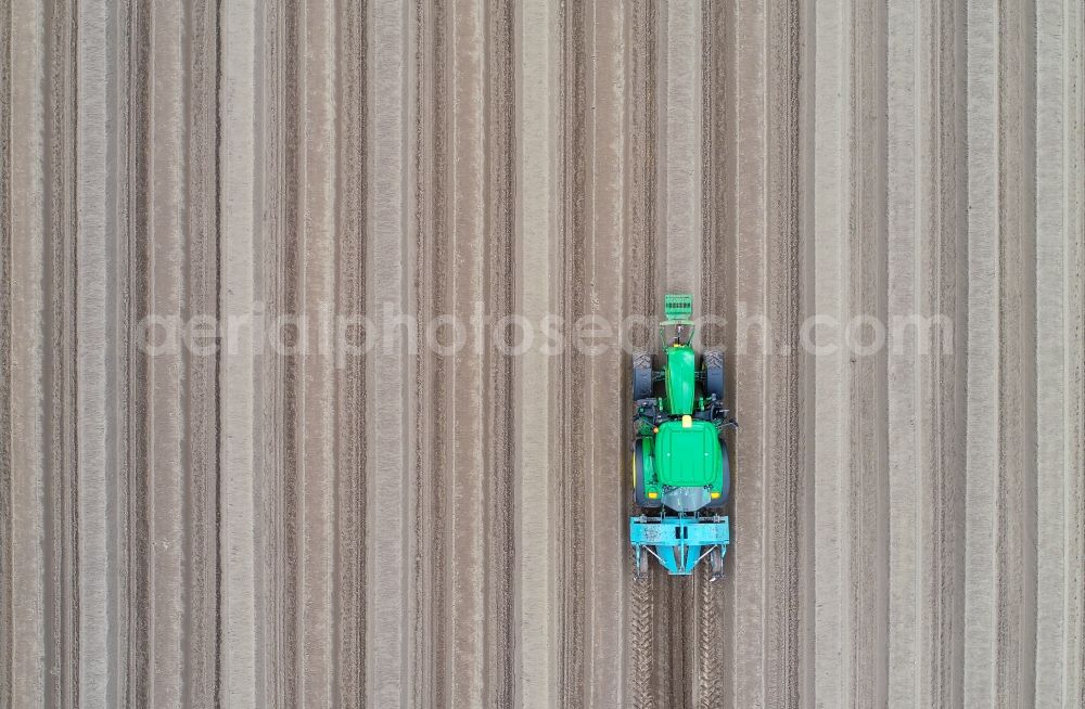 Vertical aerial photograph Dürrenhofe - Vertical aerial view from the satellite perspective of the rows with asparagus growing on field surfaces in Duerrenhofe in the state Brandenburg, Germany