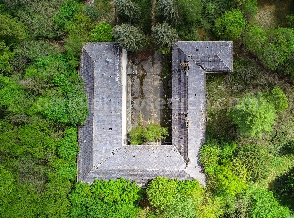 Vertical aerial photograph Treppeln - Vertical aerial view from the satellite perspective of the ruin of the decaying building structure of the former forester's house in Treppeln in the state Brandenburg, Germany
