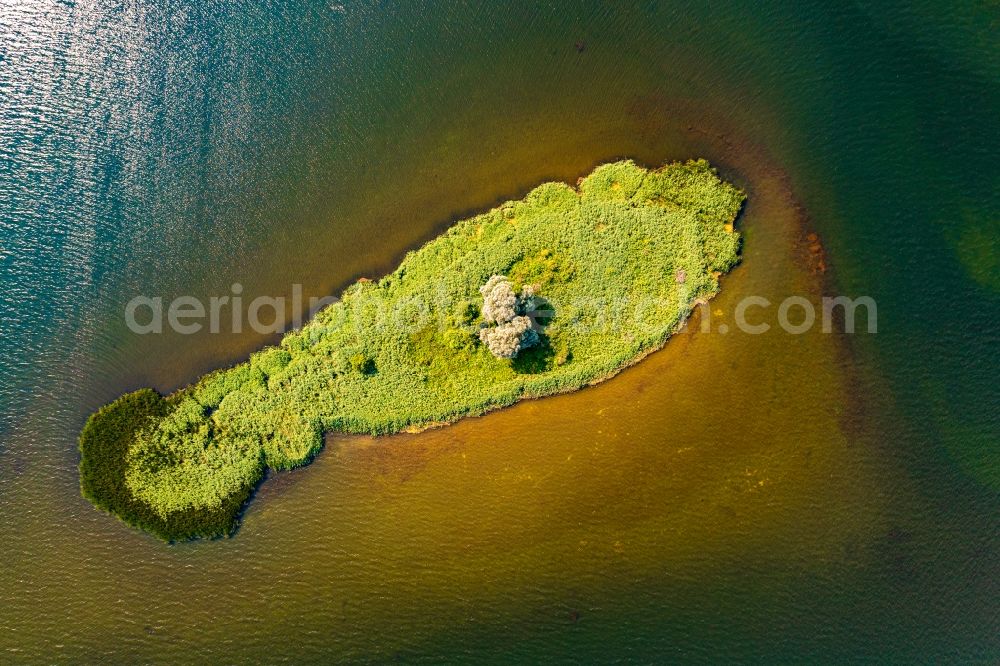 Vertical aerial photograph Joachimsthal - Vertical aerial view from the satellite perspective of the lake Island in Grimnitzsee in Joachimsthal in the state Brandenburg, Germany