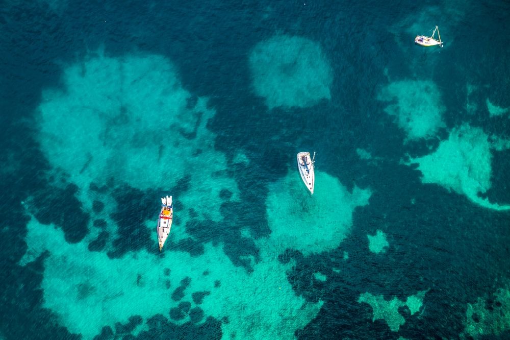 Vertical aerial photograph Cala Fornells - Vertical aerial view from the satellite perspective of the sailboat under way on Balearic sea in Cala Fornells in Balearic Islands, Spain
