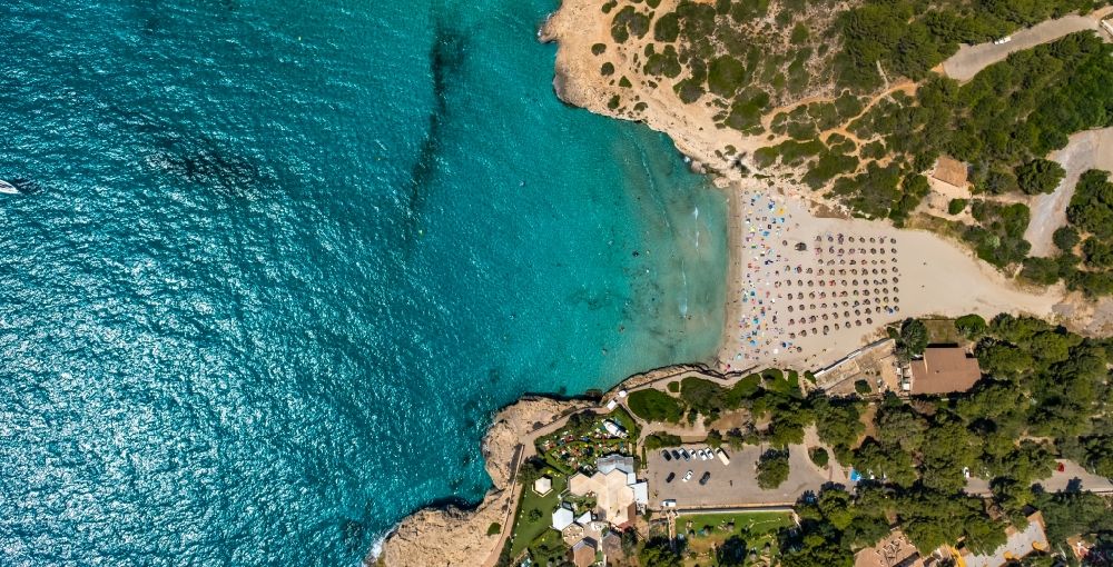 Vertical aerial photograph Cales de Mallorca - Vertical aerial view from the satellite perspective of the parasol - rows on the sandy beach in the coastal area Cala Domingos in Cales de Mallorca in Balearic island of Mallorca, Spain