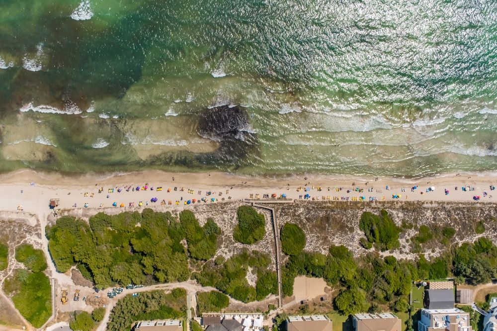 Vertical aerial photograph Muro - Vertical aerial view from the satellite perspective of the parasol - rows on the sandy beach in the coastal area on Carrer Joglars in Muro in Balearic island of Mallorca, Spain