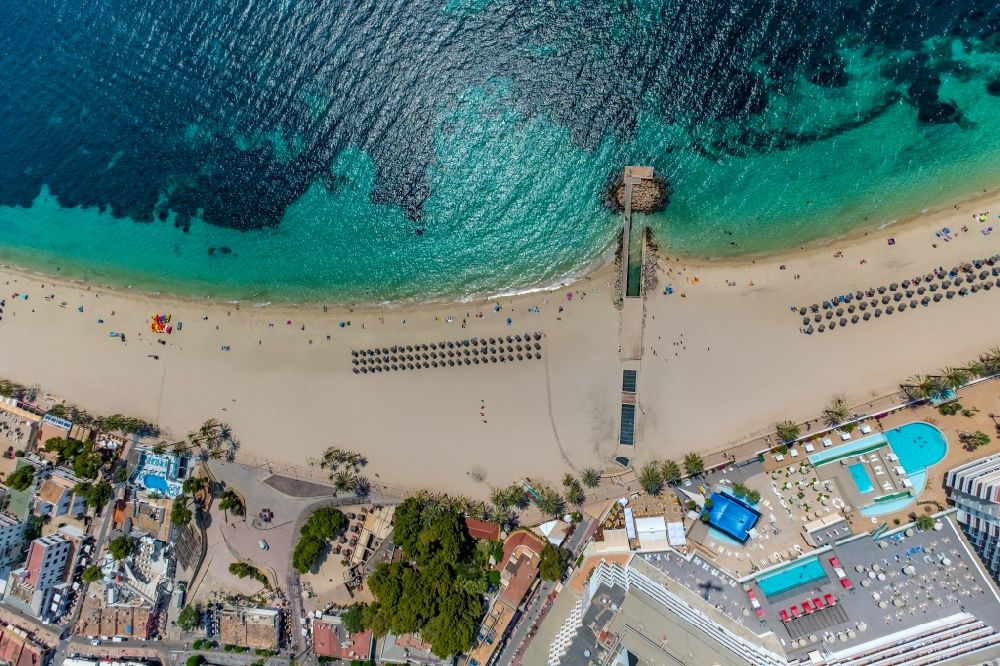 Vertical aerial photograph Calvia - Vertical aerial view from the satellite perspective of the parasol - rows on the sandy beach in the coastal area on Platja de Magaluf in Calvia in Balearic island of Mallorca, Spain
