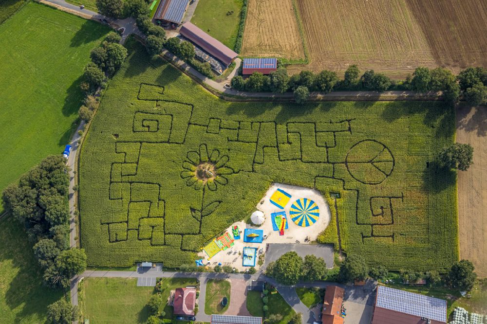 Vertical aerial photograph Haltern am See - Vertical aerial view from the satellite perspective of the playground Maislabyrinth Terhardt in Haltern am See in the state North Rhine-Westphalia, Germany
