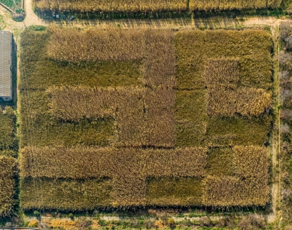 Vertical aerial photograph Palma - Vertical aerial view from the satellite perspective of structures on a field on the CamA? de Can CapA? in the Llevant de Palma District in Palma in the Balearic Island of Mallorca, Spain