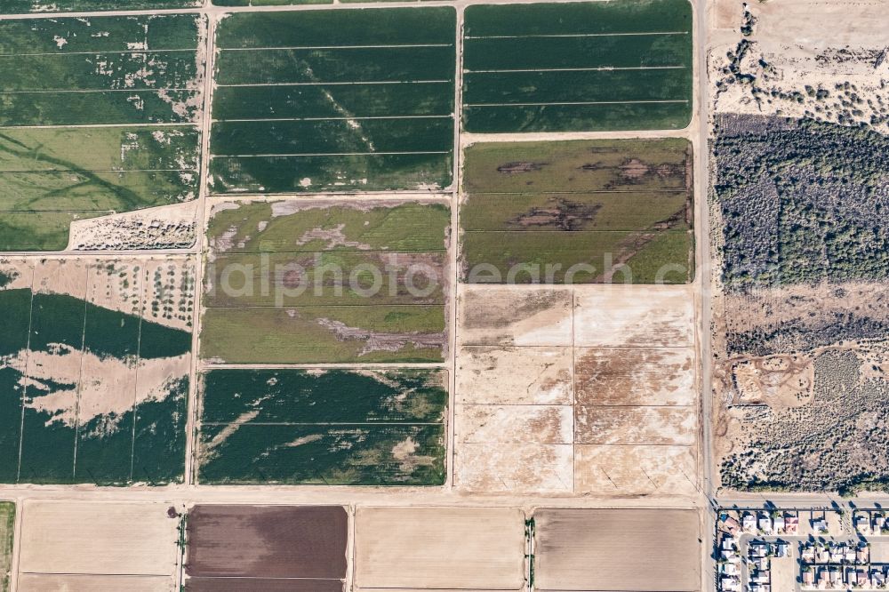 Vertical aerial photograph Mohave Valley - Vertical aerial view from the satellite perspective of the structures on agricultural fields in Mohave Valley in Arizona, United States of America