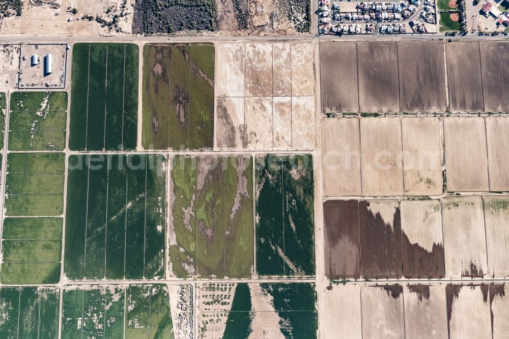 Vertical aerial photograph Mohave Valley - Vertical aerial view from the satellite perspective of the structures on agricultural fields in Mohave Valley in Arizona, United States of America