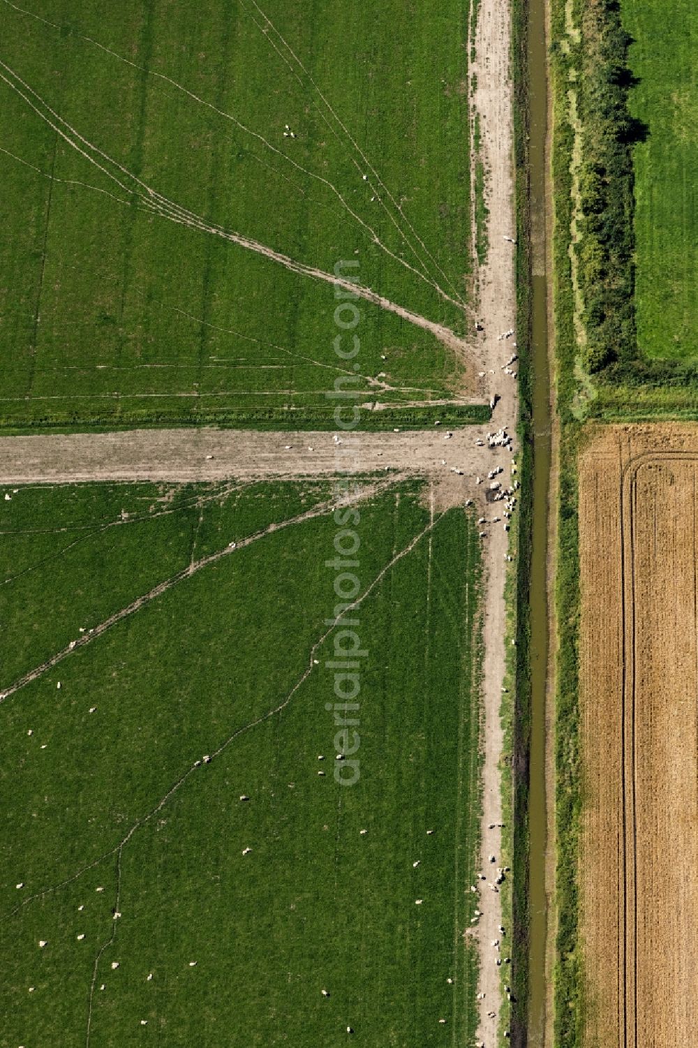 Vertical aerial photograph Tiebensee - Vertical aerial view from the satellite perspective of the structures on agricultural fields in Tiebensee in the state Schleswig-Holstein, Germany