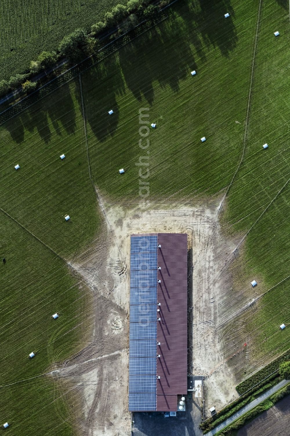 Vertical aerial photograph Twistringen - Vertical aerial view from the satellite perspective of the stalled equipment for poultry farming and poultry production in Twistringen in the state Lower Saxony, Germany