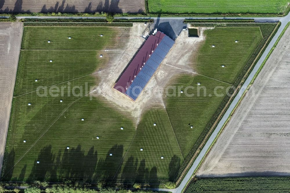 Vertical aerial photograph Twistringen - Vertical aerial view from the satellite perspective of the stalled equipment for poultry farming and poultry production in Twistringen in the state Lower Saxony, Germany