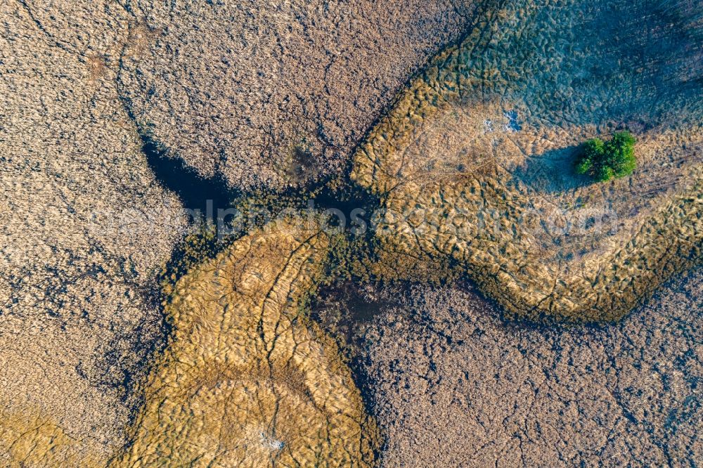 Vertical aerial photograph Althüttendorf - Vertical aerial view from the satellite perspective of the forests on the shores of Lake Flacher Bugsinsee in Althuettendorf in the state Brandenburg, Germany