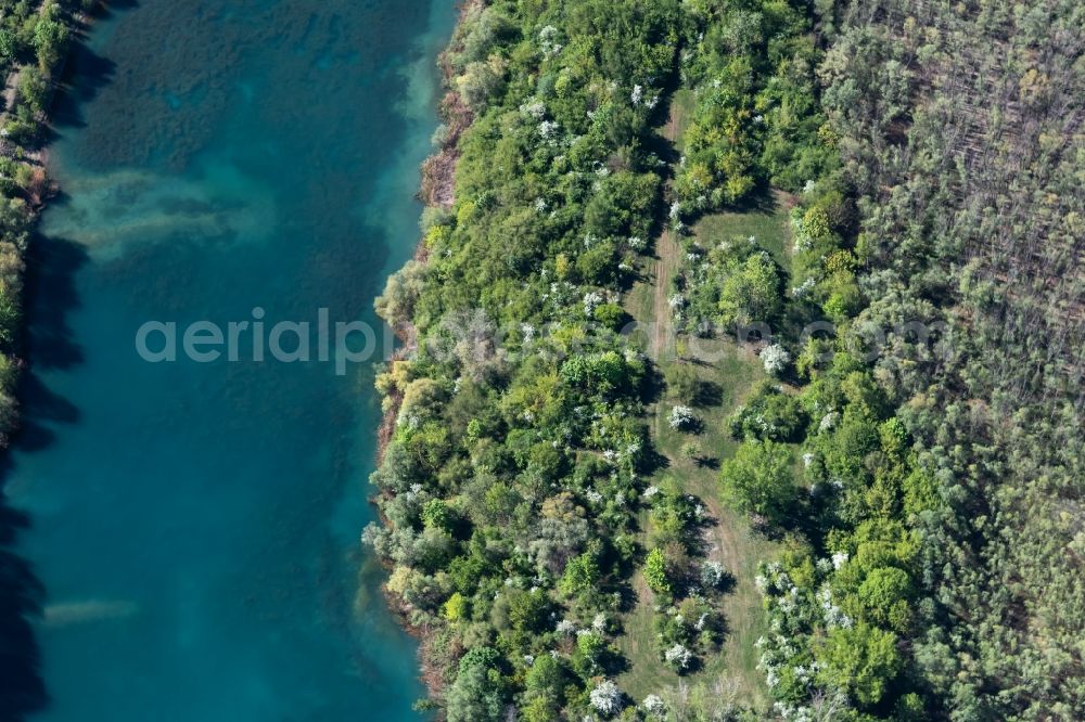 Vertical aerial photograph Erfurt - Vertical aerial view from the satellite perspective of the forests on the shores of Lake Sulzer See in the district Hohenwinden in Erfurt in the state Thuringia, Germany